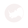 Rhino white-no logo